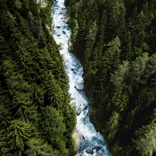 山间溪流穿林而过