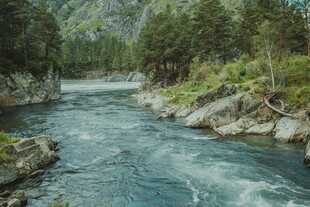 山间湍急河流与葱郁林木