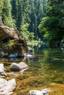 山间清澈溪流与茂密树林