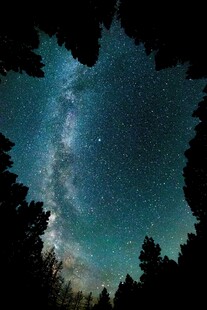 森林上空的璀璨星空