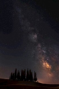 夜空下的森林与璀璨星河
