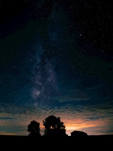 夜幕下的星空与树木剪影