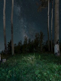 静谧森林的夜空美景