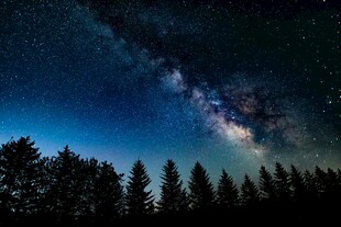 夜空下的森林与璀璨星河