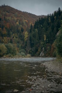 秋日山林边的宁静河流