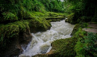 山间湍急溪流绿意盎然