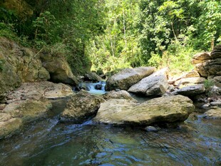 山间溪流潺潺与嶙峋怪石