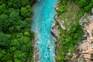 翠绿山林间的蓝色溪流
