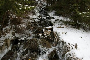 雪覆溪流 山林间的灵动景致