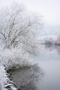 冬日河岸雪景
