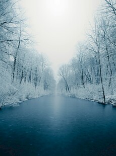 冬日雪覆河流静谧景象