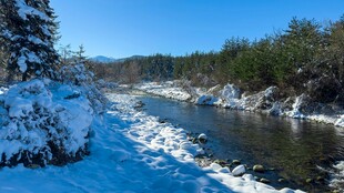 冬日河畔雪景