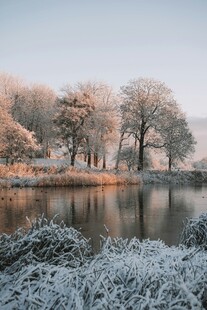 冬日湖畔霜景