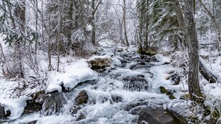 冬日林间溪流雪景