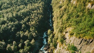峡谷森林航拍美景