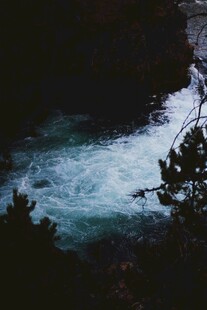 湍急河流旁的葱郁树木