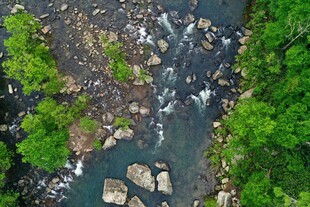 山间溪流绿意环绕美景