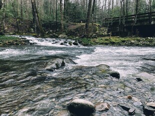 山间溪流潺潺风景如画