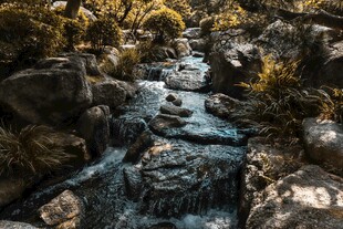 山间溪流潺潺岩石绿植相伴