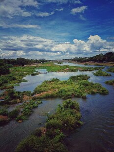 广袤湿地风光