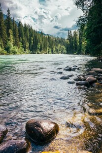 山间清澈溪流与葱郁林木