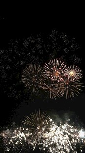 夜空中绚烂的烟花绽放