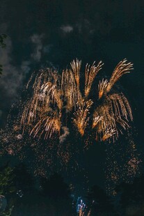 夜空中绚烂绽放的烟花