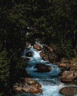 山间溪流潺潺穿林而过