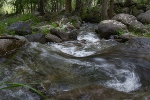 山间溪流潺潺而过