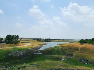 河畔田园风光美景
