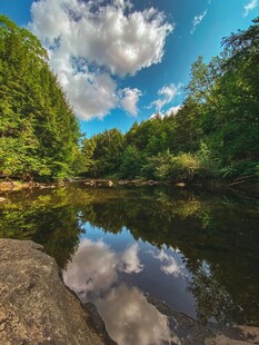 宁静河畔的自然美景
