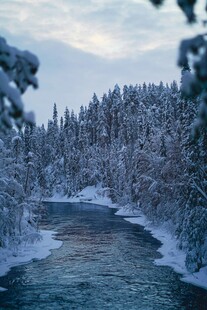 冬日雪覆河流森林美景
