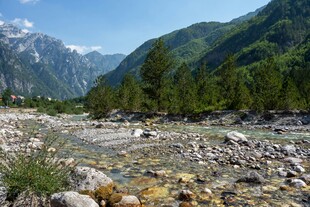 山间溪流旁的秀丽自然景