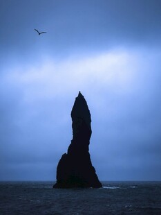 海边孤岩飞鸟壮丽景观