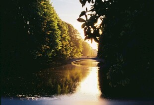 河畔夕照 静谧自然美景