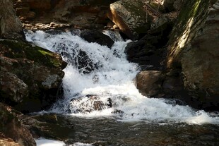 山间溪流潺潺流淌