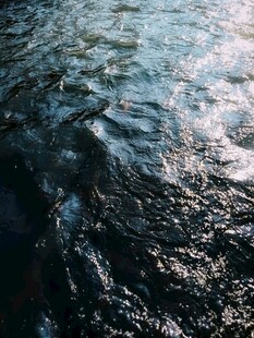波光粼粼的水面