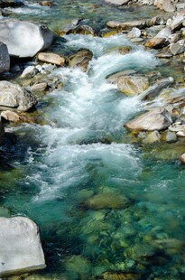 山间清澈溪流潺潺流淌