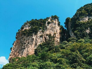 峻峭山峰覆绿植