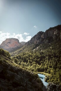山间溪流旁的秀丽自然景观