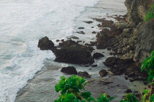 海岸边的礁石与绿植景观