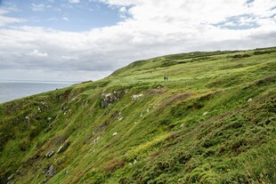 翠绿山坡与蓝天白云美景