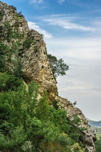 峻峭山崖旁的葱郁绿植