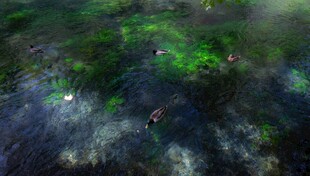 水下奇幻绿色景象