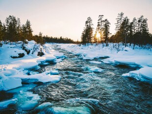 冬日溪流边的冰雪森林景观
