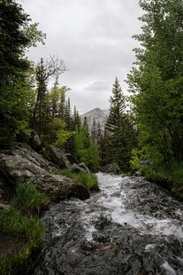 山间溪流穿林而过