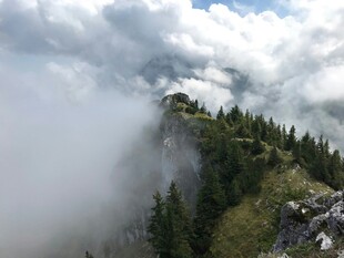 云雾缭绕的山间森林美景