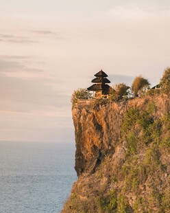 悬崖边的孤树与壮阔海景