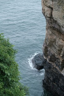 海边悬崖与绿植景观