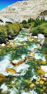 山间清澈溪流美景